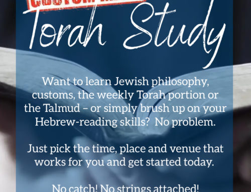 Custom Made Torah Study